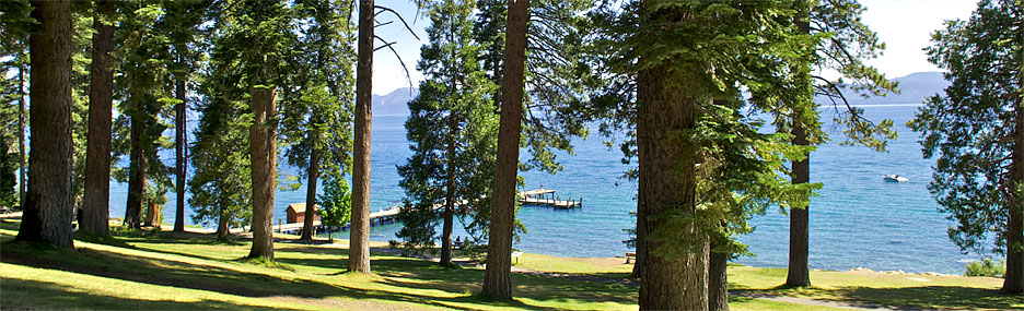 Sugar Pine Campground Lake Tahoe