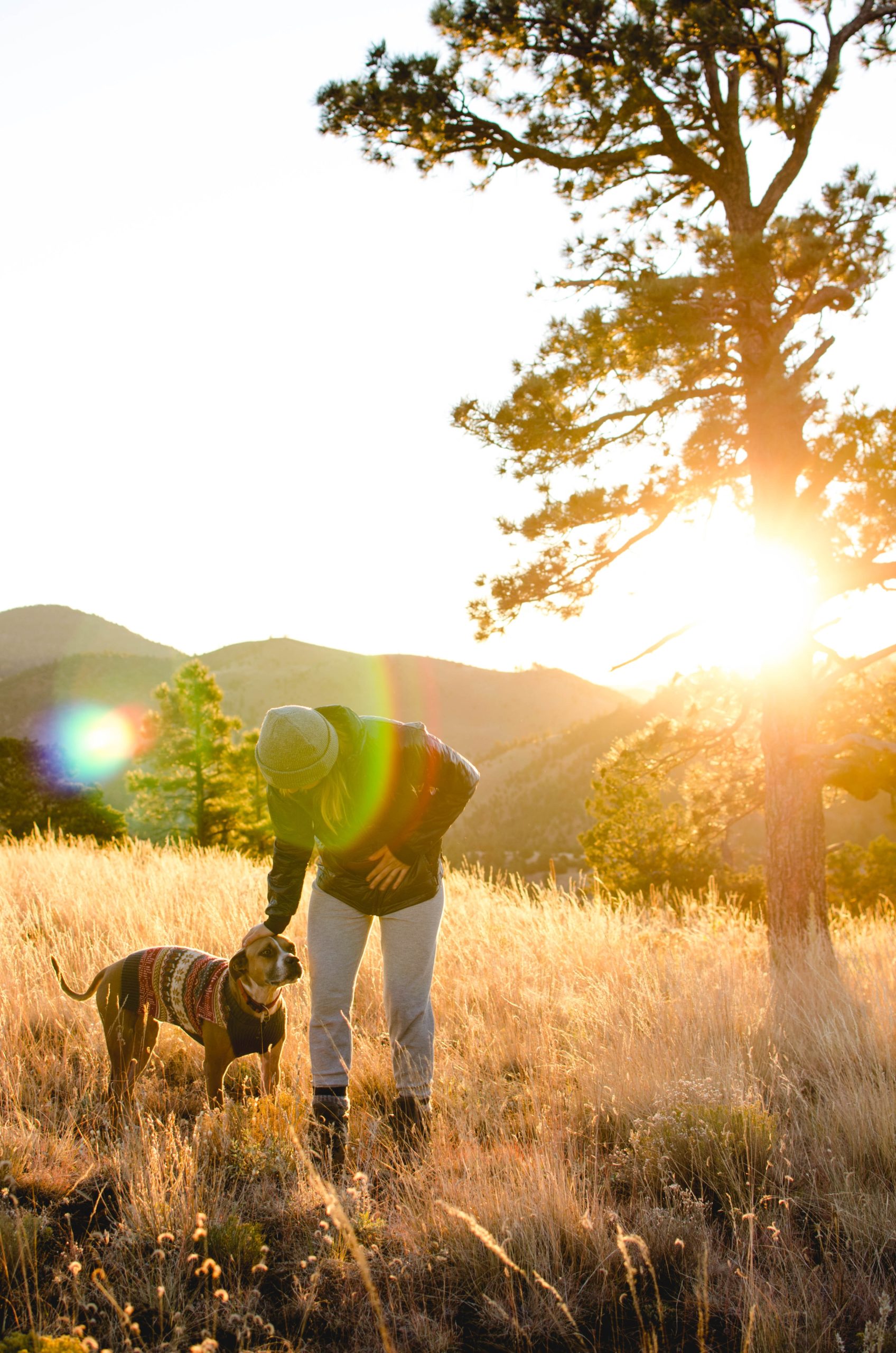 Dog clearance friendly tahoe