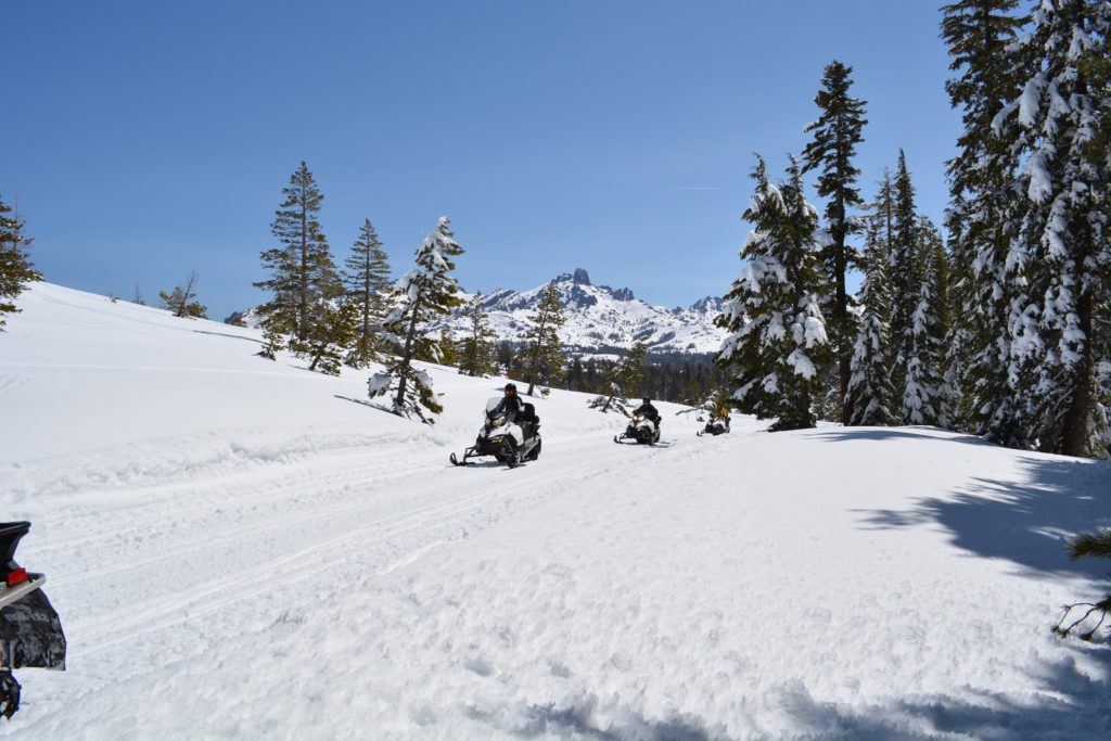 Riding snowmobiles through the sierra nevada mountains
