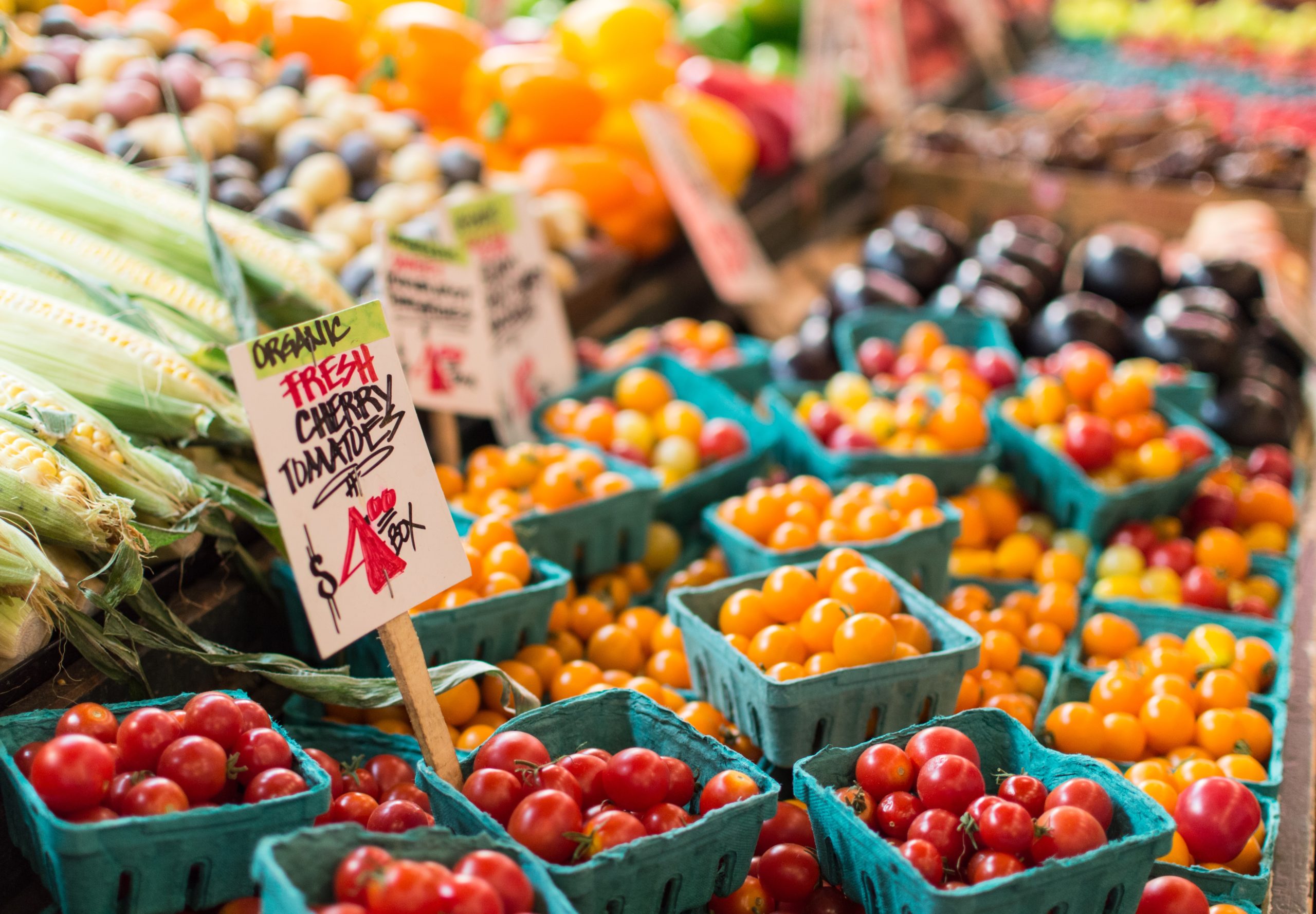 Lake Tahoe Farmers Markets [Updated 2024] Epic Lake Tahoe