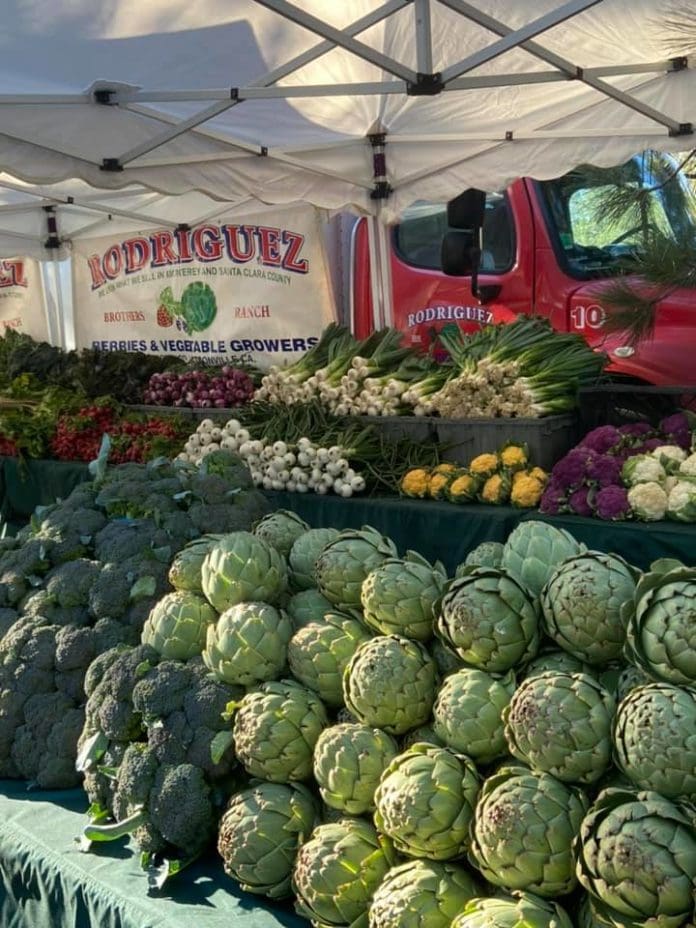 Lake Tahoe Farmers Markets [Updated 2023] Epic Lake Tahoe