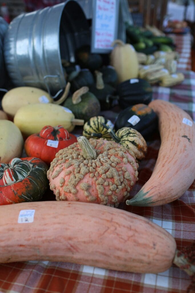 Tahoe City Fall Harvest Farmer's Market at Boathouse