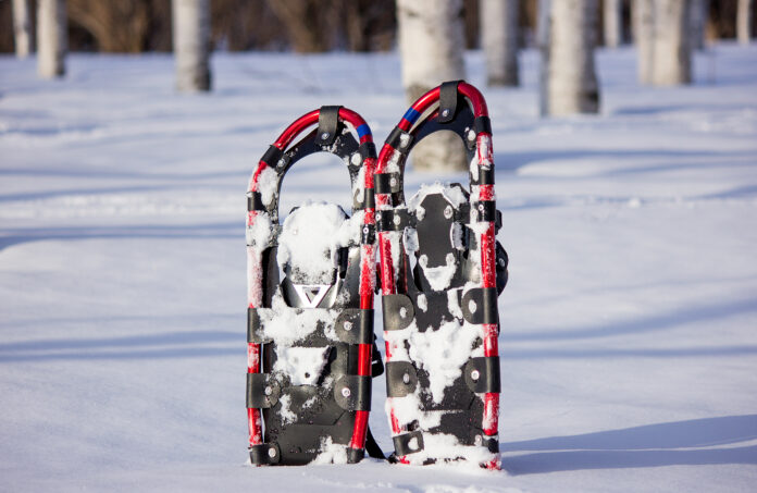 Snowshoe Tahoe rental