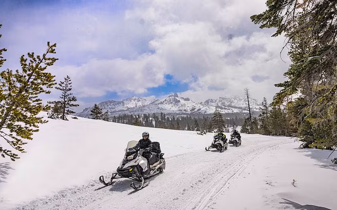 Snowmobile tour through a snow covered Sierra Nevada landscape